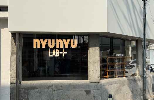 NYUNYU img1