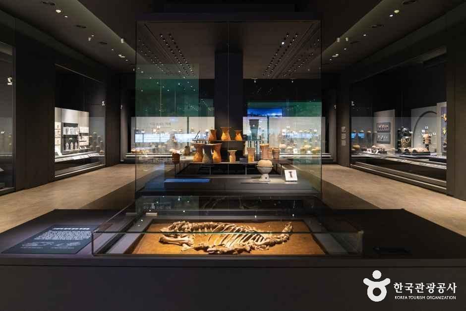 전남_나주_국립나주박물관_내부_1.jpg
