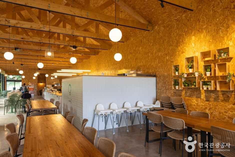 제주_이끼숲소길 (16).jpg