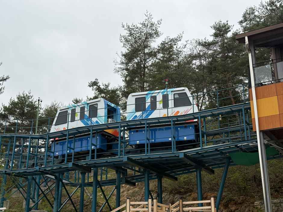 이미지 설명