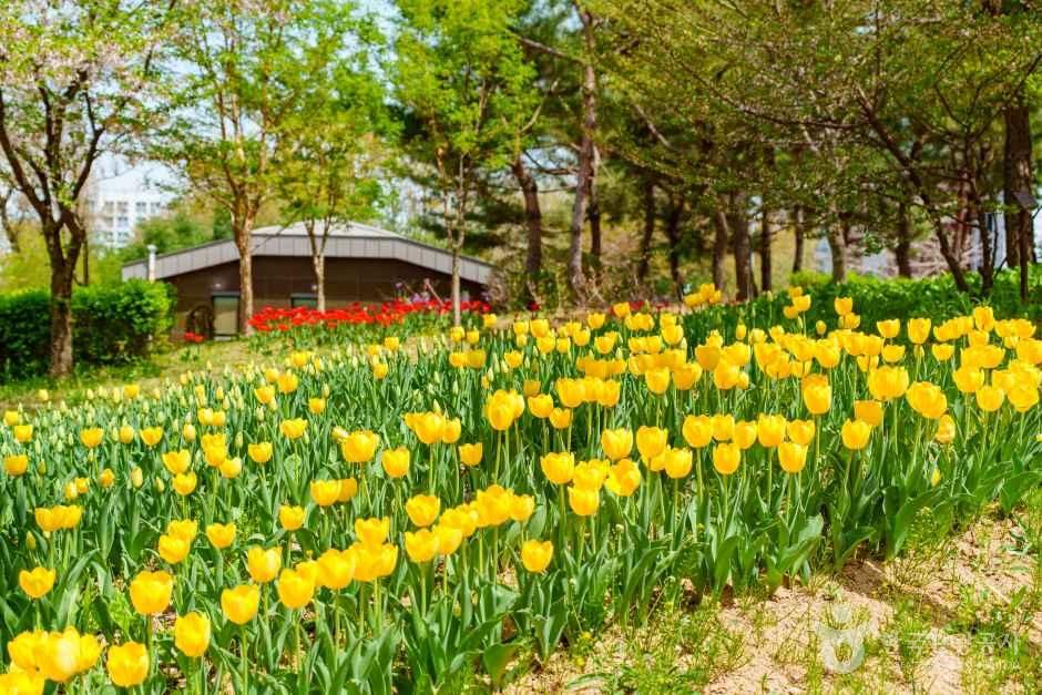 양천도시농업공원