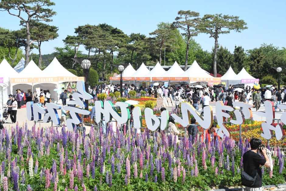 함평나비대축제