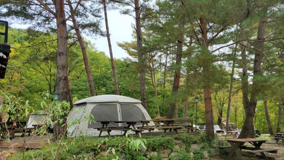 평창하늘캠핑장