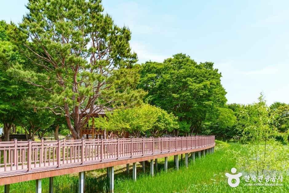 평택_바람새마을 소풍정원 (2).jpg