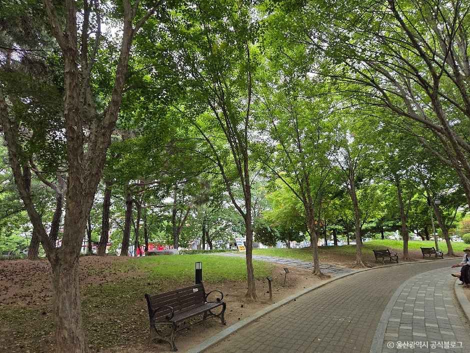 문화공원(울산)