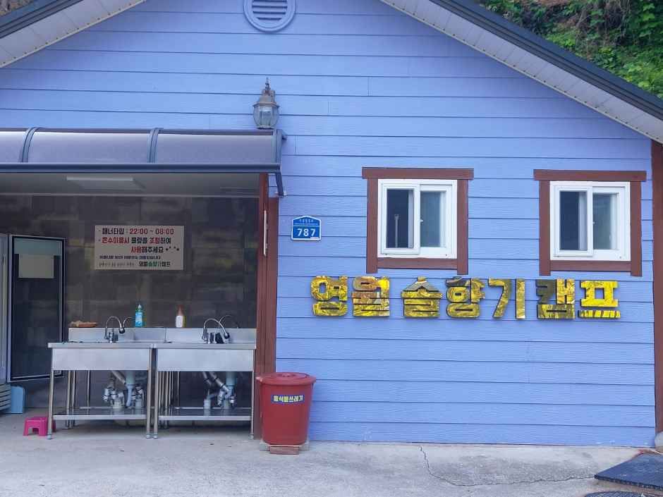 영월솔향기캠프펜션