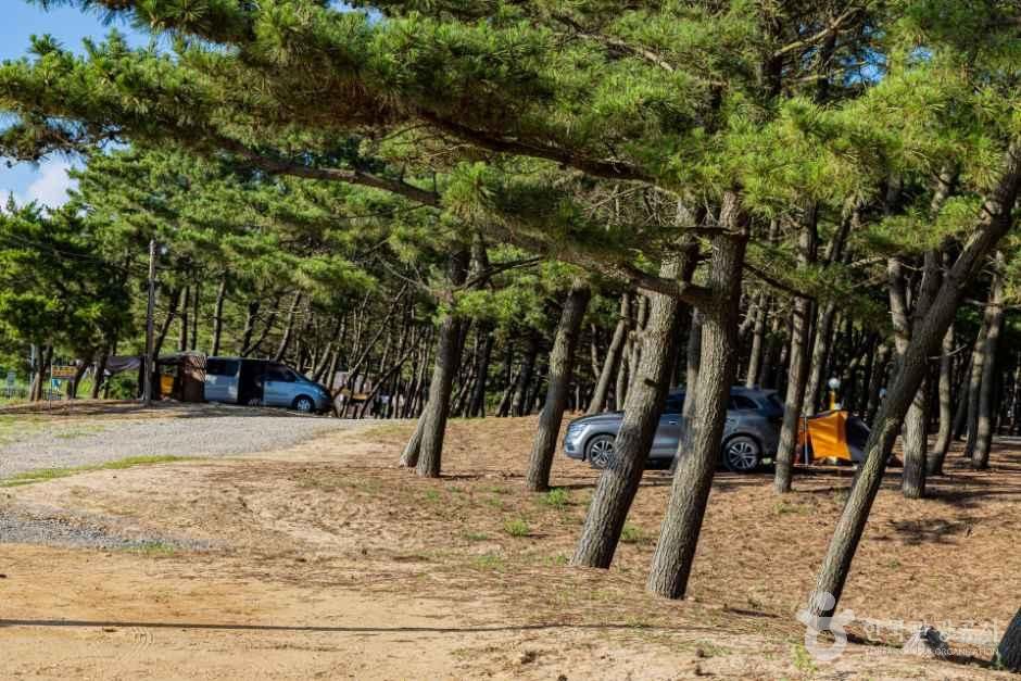 석갱이오토캠핑장