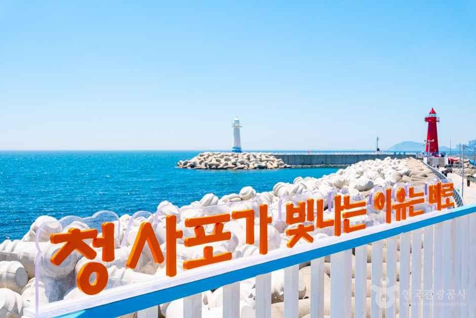 청사포역