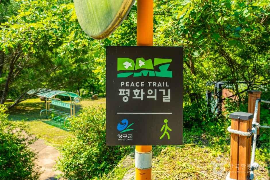 [강원평화누리자전거길 10코스] 양구 두타연길