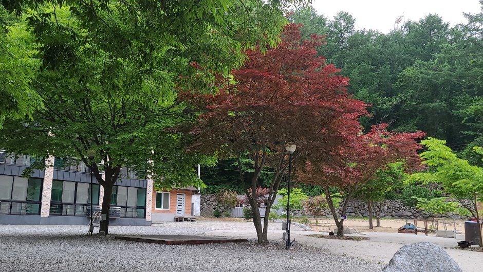 융프라우오토캠핑장
