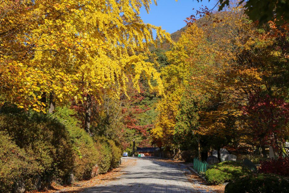 용문산