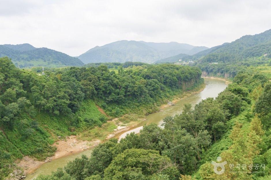 경기_포천시_한탄강 Y자 출렁다리 (5).jpg