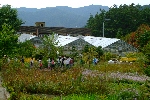 한국자생식물원