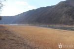 새별공원 사진 8