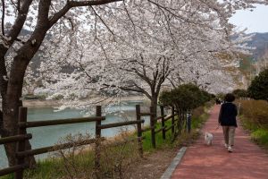 동구리호수공원