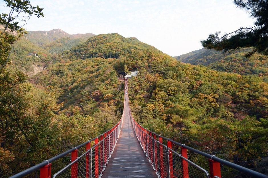 紺岳山吊桥