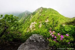 계룡산국립공원