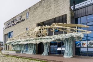 아라마루 아쿠아리움