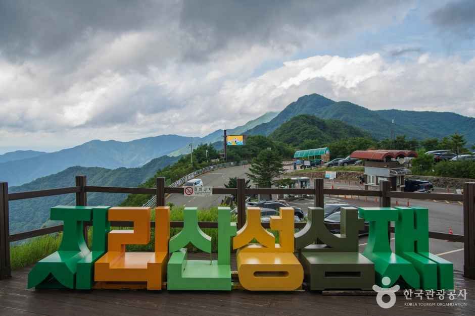성삼재