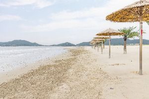 증도(신안)