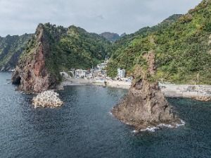 거북바위 및 향나무 자생지 (울릉도, 독도 국가지질공원)