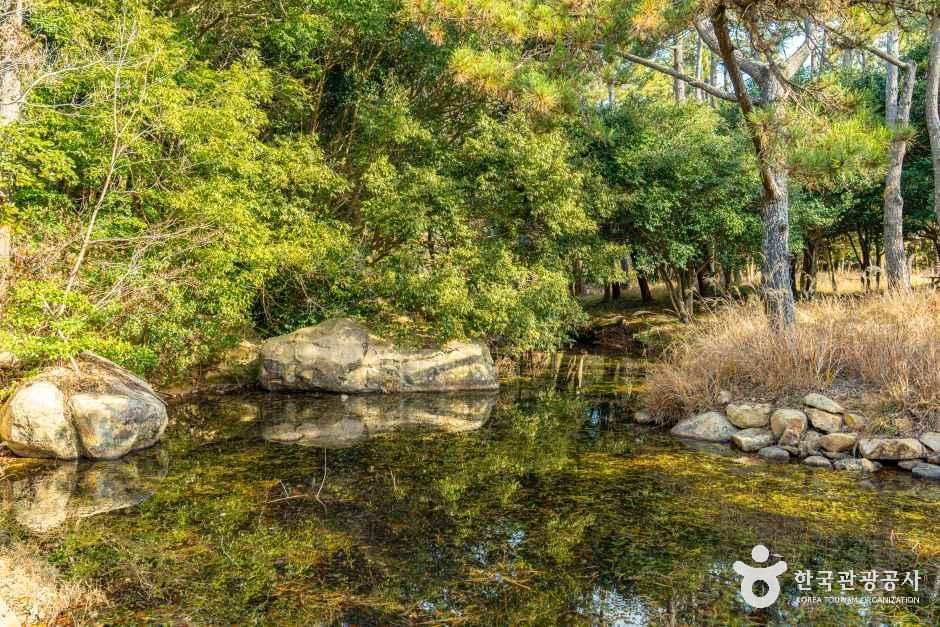 고산 윤선도 문학체험공원