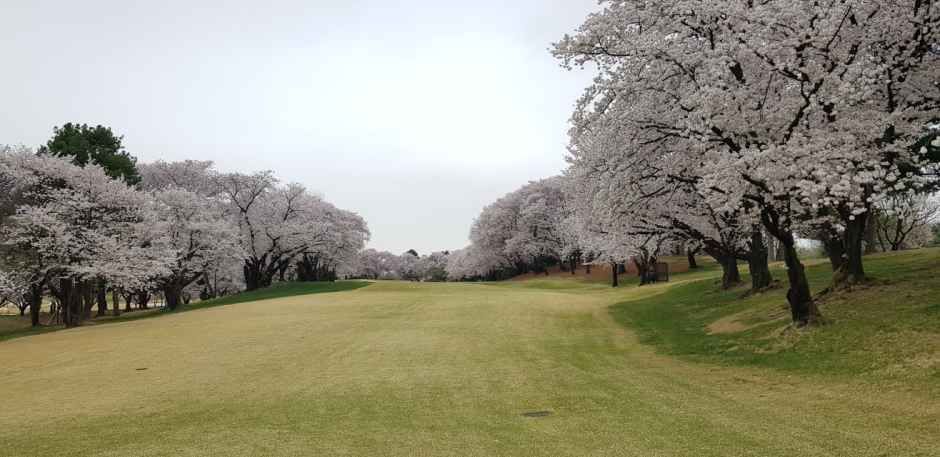 안양컨트리클럽