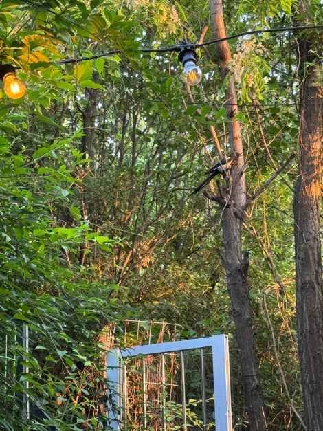 대전_산1번지 타로카페 (2).jpg