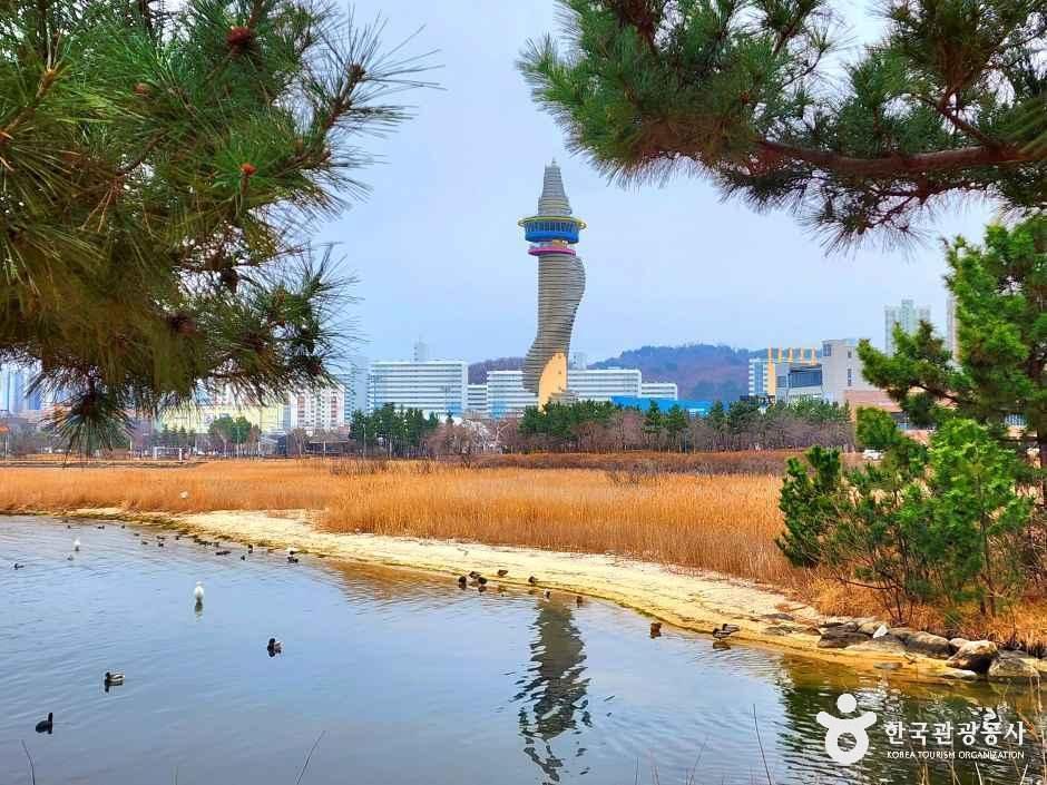 강원_속초_청초호 호수공원_외부_1.jpg