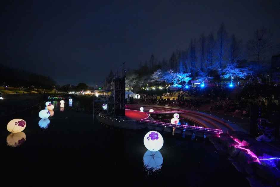 Festival de los Faroles de Cerezo del Arroyo Yangjaecheon (양재천 벚꽃 등(燈) 축제)
