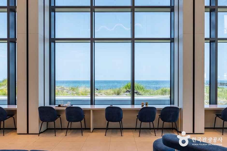 신라스테이 플러스 이호테우