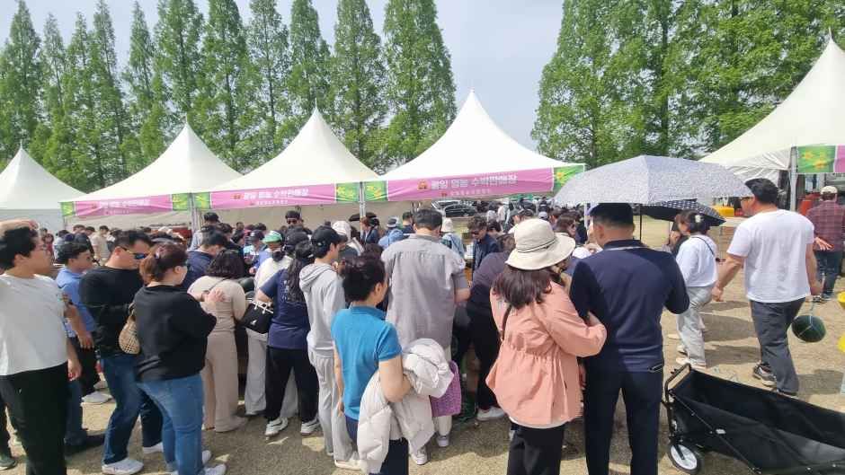 2026 함안세계수박축제 (7).jpg