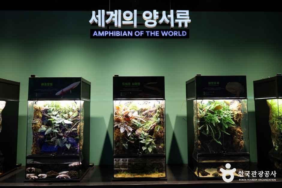 충주아쿠아리움