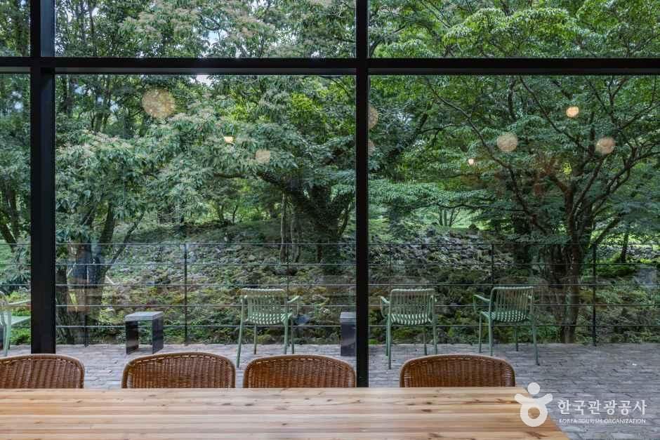 제주_이끼숲소길 (17).jpg