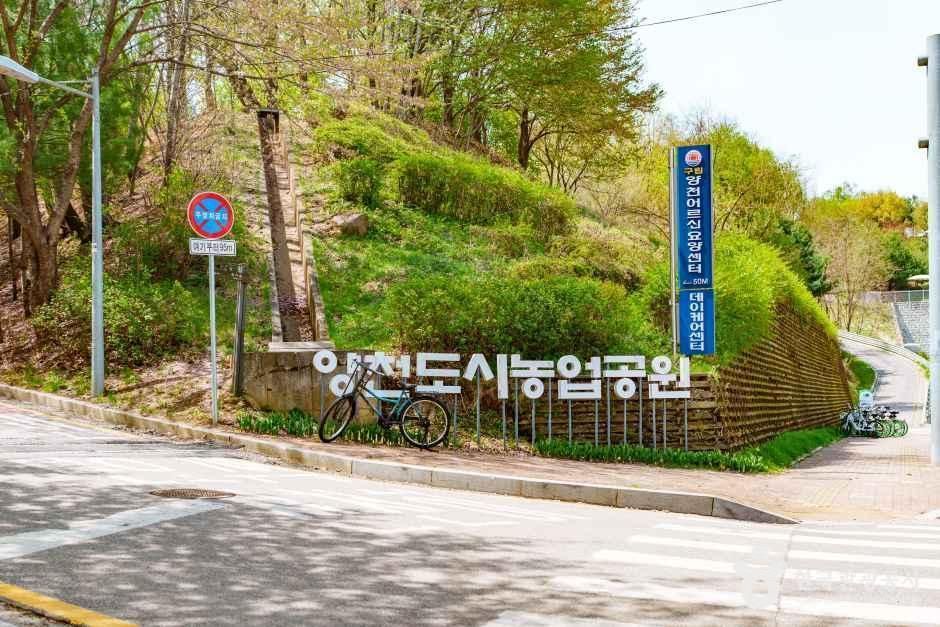 양천도시농업공원