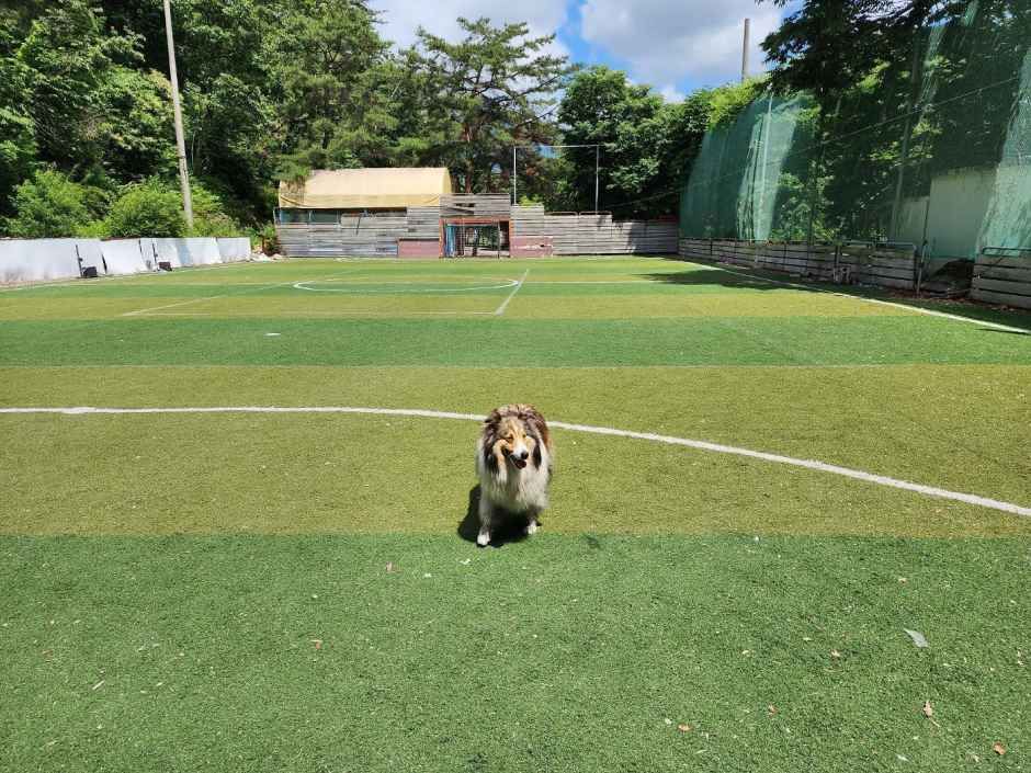 솔밭체육공원오토캠핑장