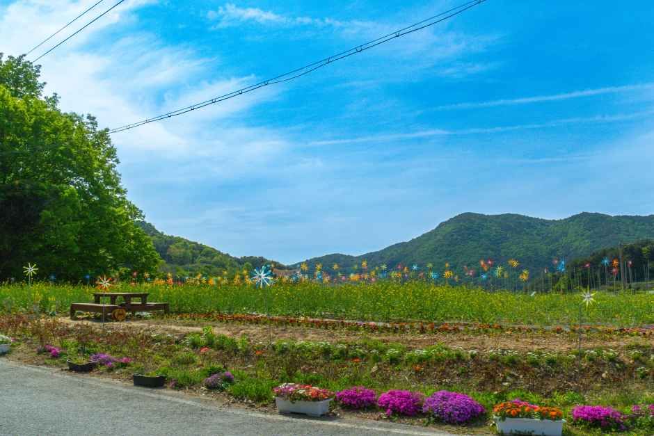 [남해바래길 6코스] 죽방멸치길