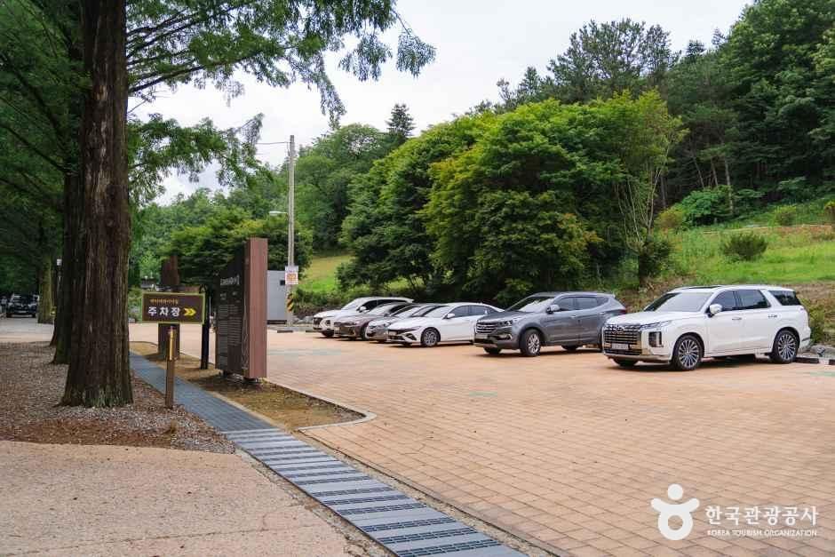 전북_진안_부귀 메타세콰이어길_외부_2.jpg