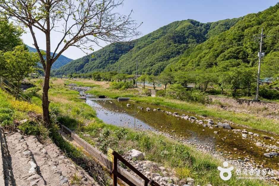 월악 파머스 캠핑장