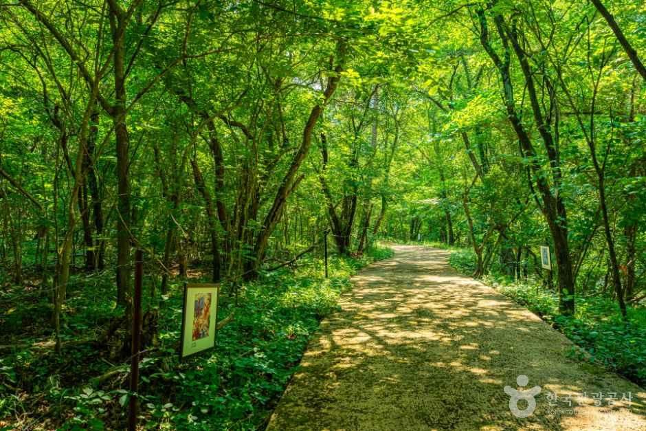 [강원평화누리자전거길 10코스] 양구 두타연길