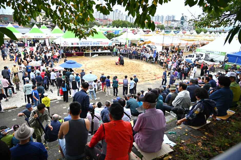 생거진천 문화축제 현장 2