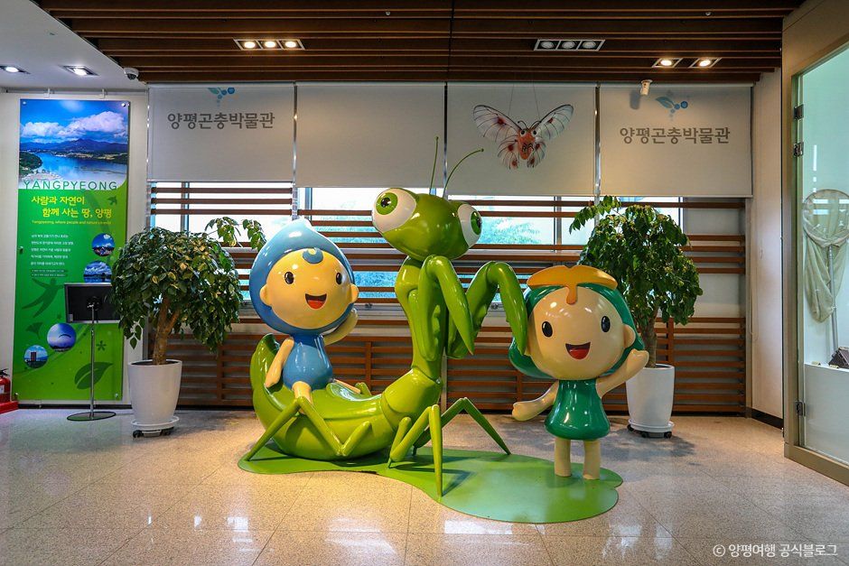 양평곤충박물관