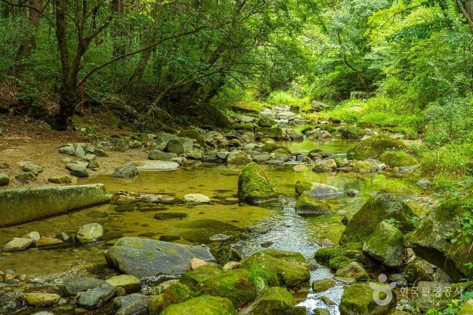백운계곡(원주)