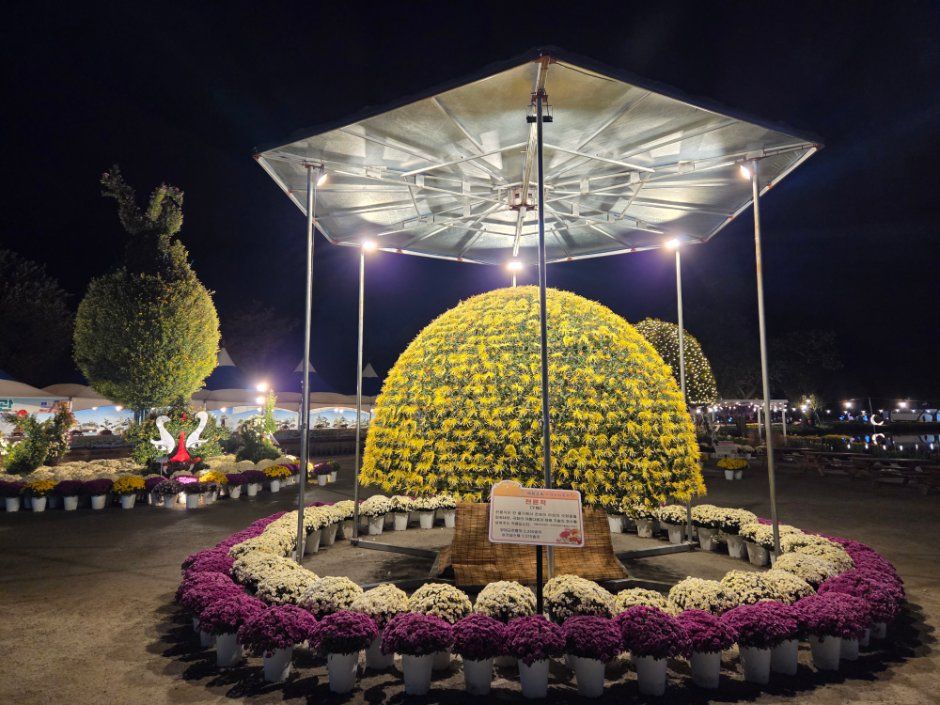 Buyeo Chrysanthemum Festival