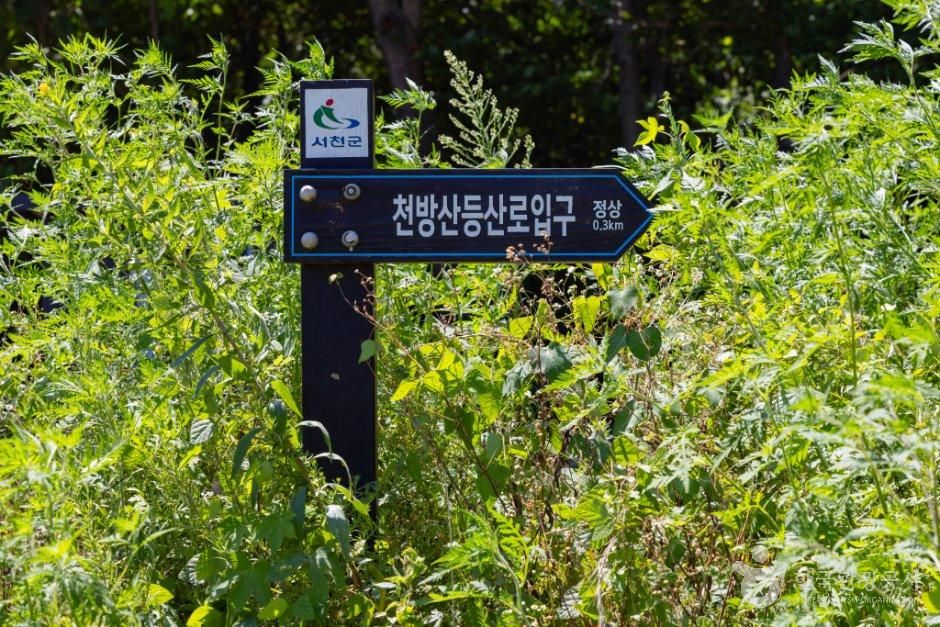 천방산