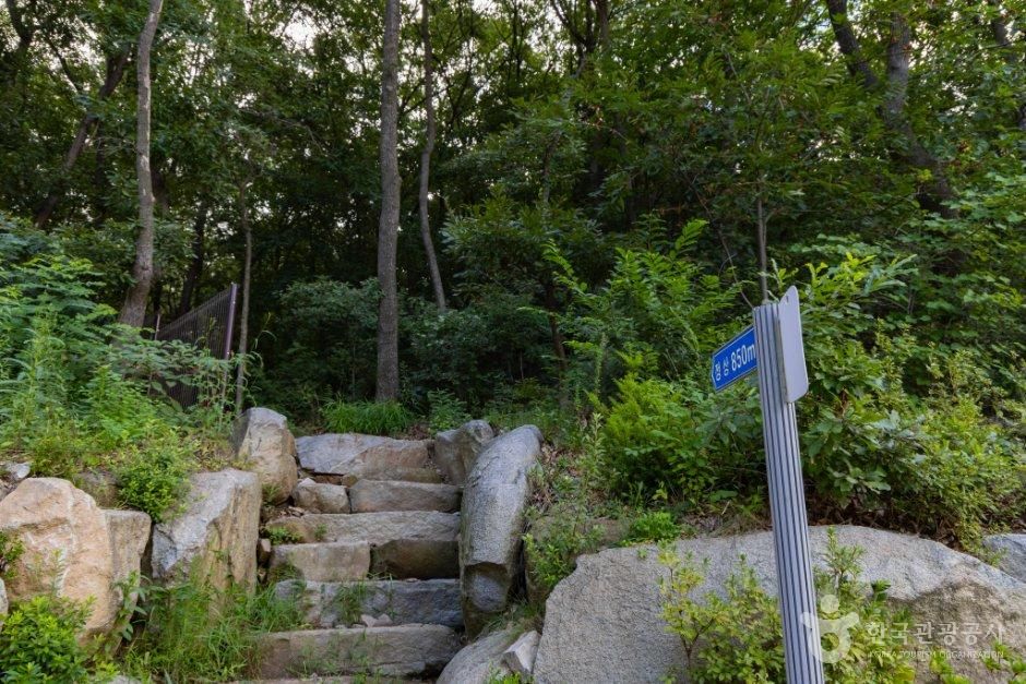 고용산(고룡산) 사진 5