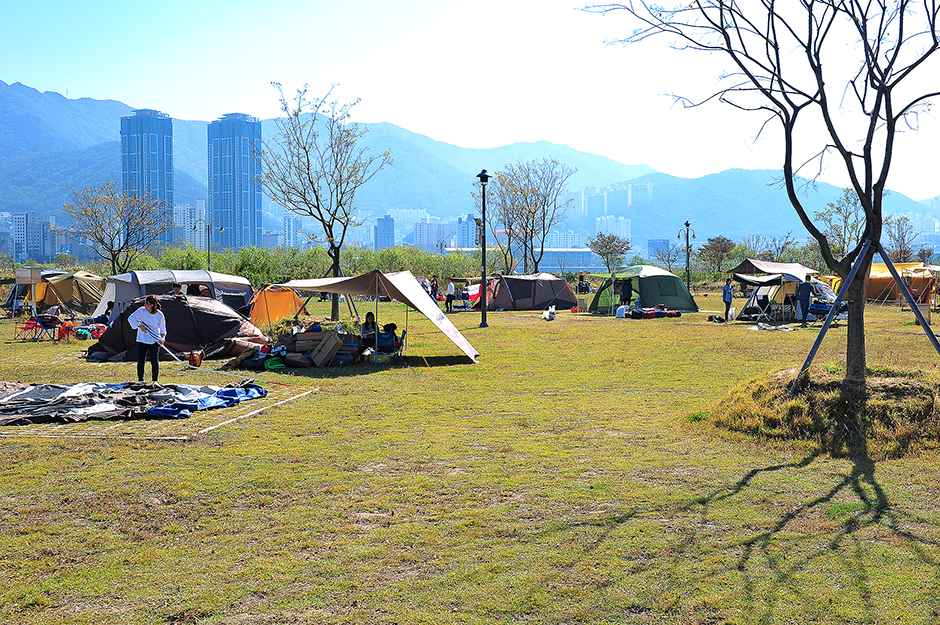 大渚露营地