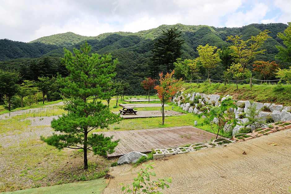 ヘ自然キャンプ場
