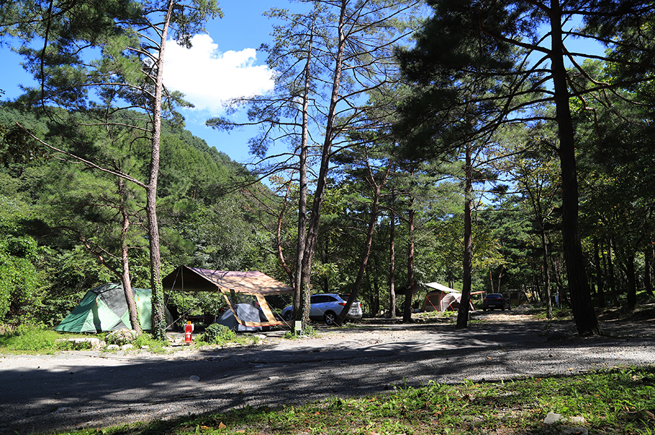 葛川オートキャンプ場