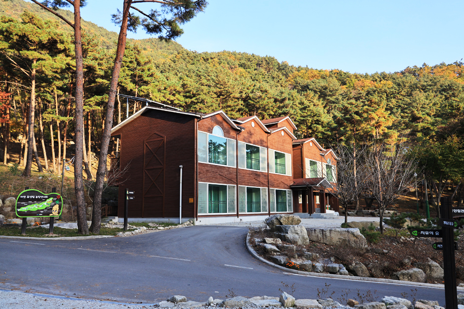 大鳳山自然休養林